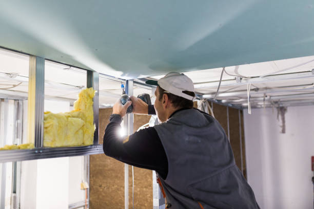 Best Insulation for Specific Applications in Bull Valley, IL