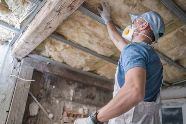 Best Energy Efficiency Solutions in Bull Valley, IL
